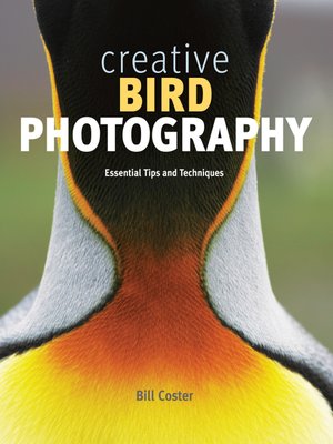 cover image of Creative Bird Photography